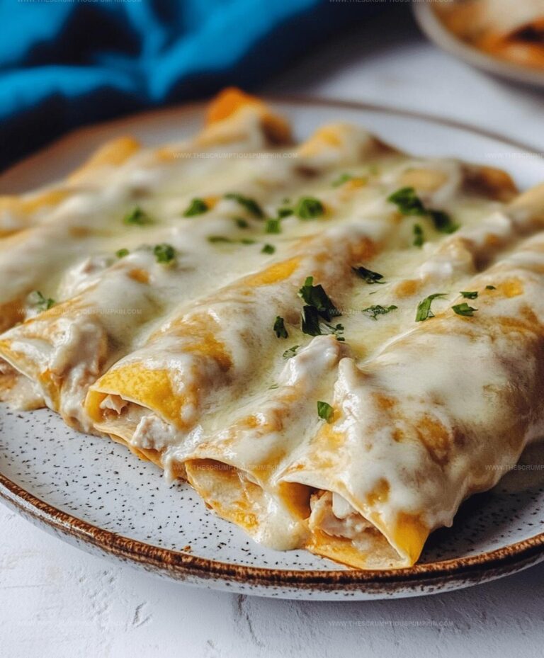 Chicken Enchiladas With Cream Of Chicken Soup Recipe