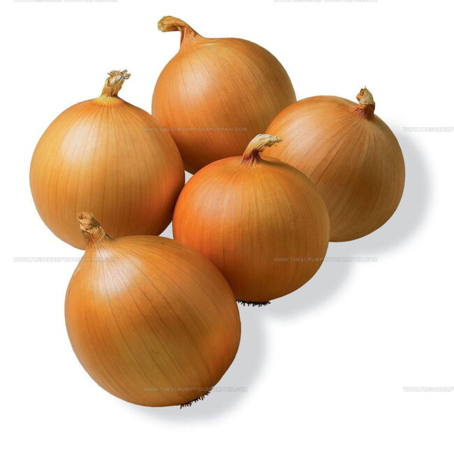 Fresh Onion