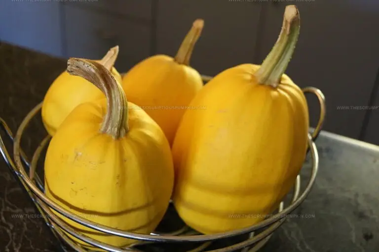 What Does Spaghetti Squash Taste Like? Discover Nature's Noodle Secret!