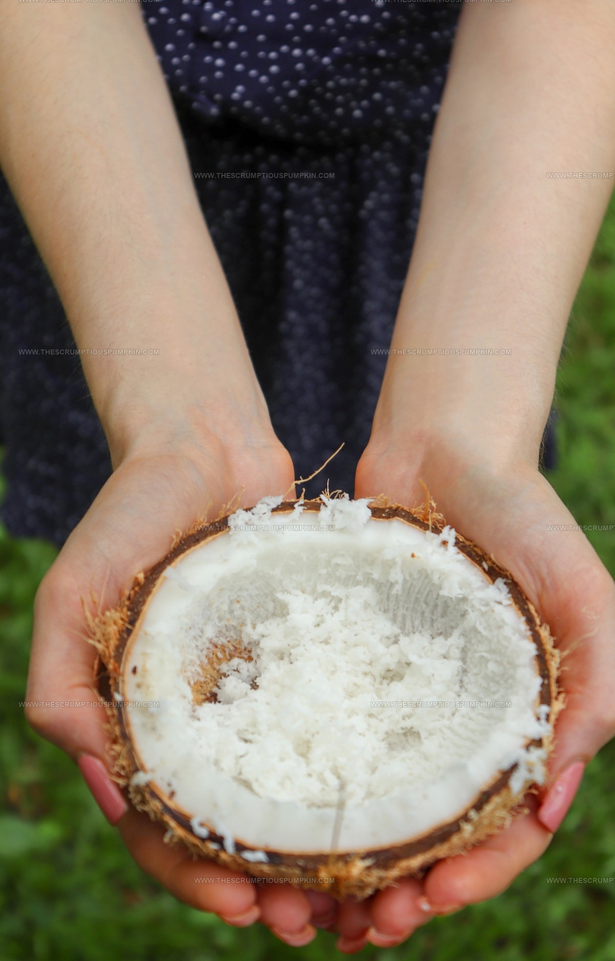 3 Easy Substitutes That Work for Shredded Coconut