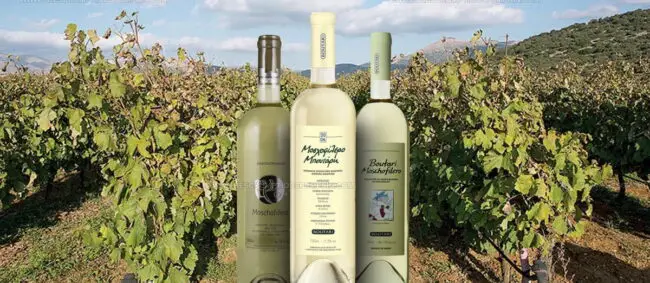 Moschofilero