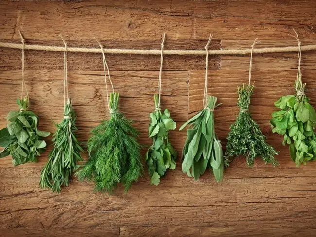 Air Drying