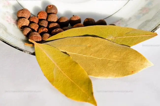 What Are Bay Leaves?