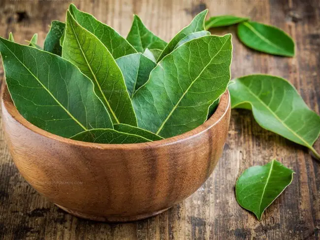 Bay Leaf Flavor Guide