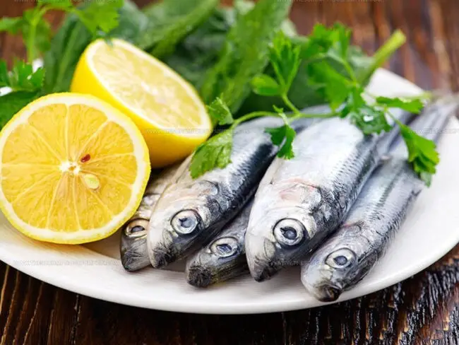 How Often to Eat Sardines