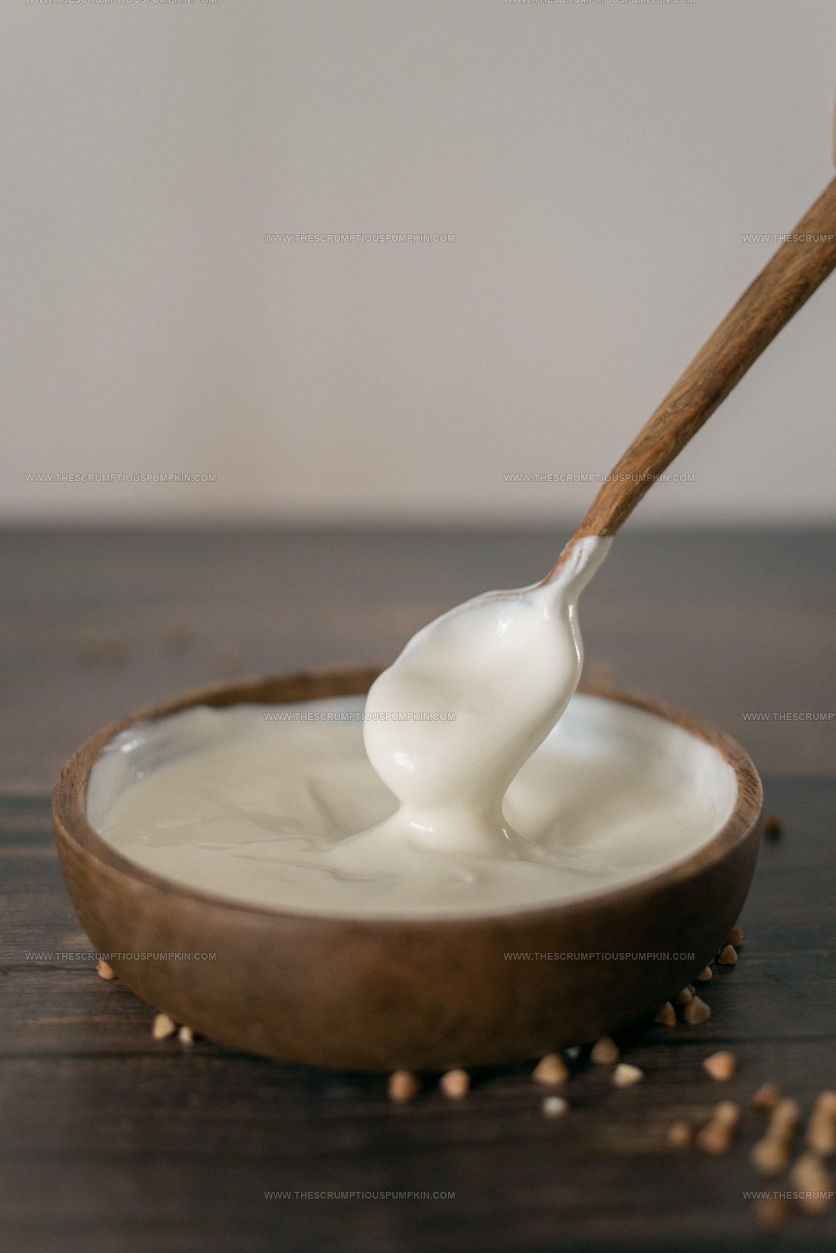 3 Sour Cream Alternatives for Casserole Dishes