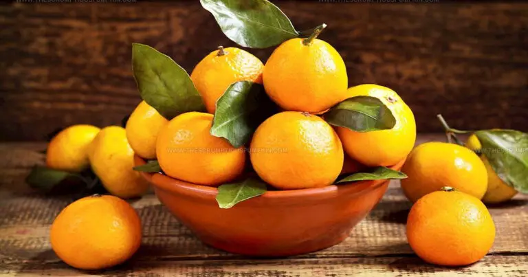 38 Seasonal Greek Fruits: A Juicy Guide to Mediterranean Gems