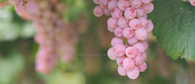 Koshu