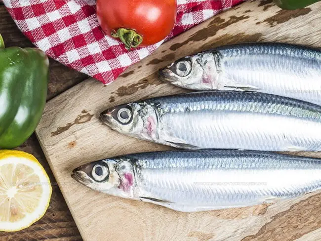 Kinds of Sardines