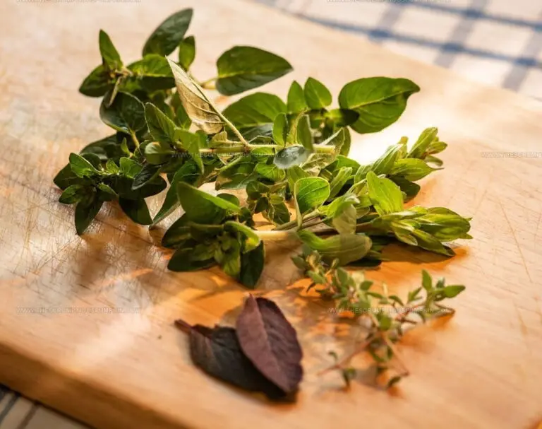 What Does Marjoram Taste Like? Discover This Herb's Unique Flavor