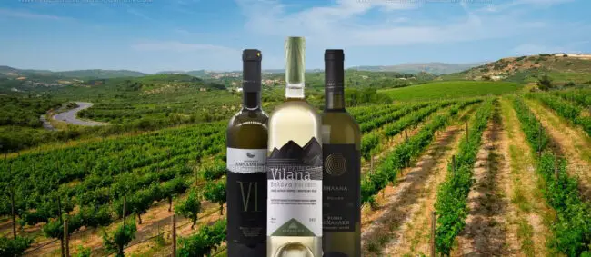 Vilana