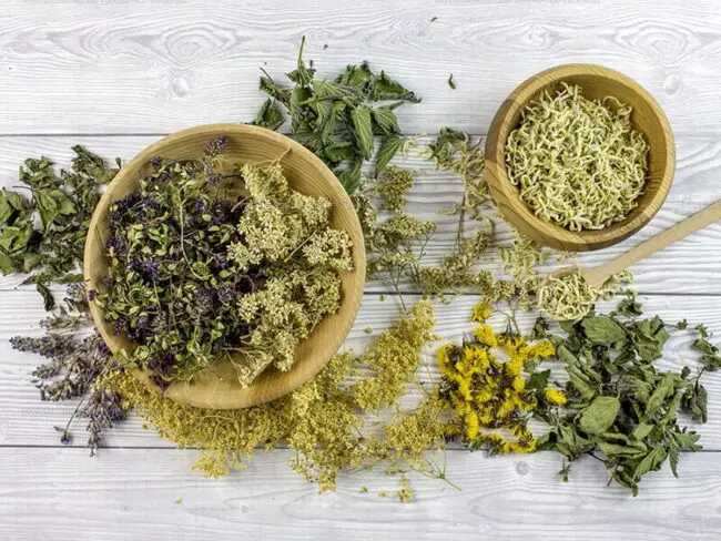 Dried Herbs Explained