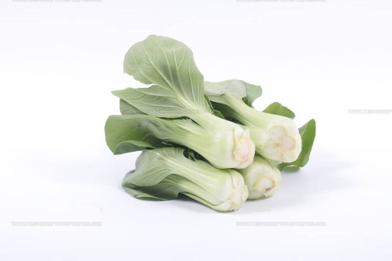 What Does Bok Choy Taste Like? Find Out This Veggie's Flavor