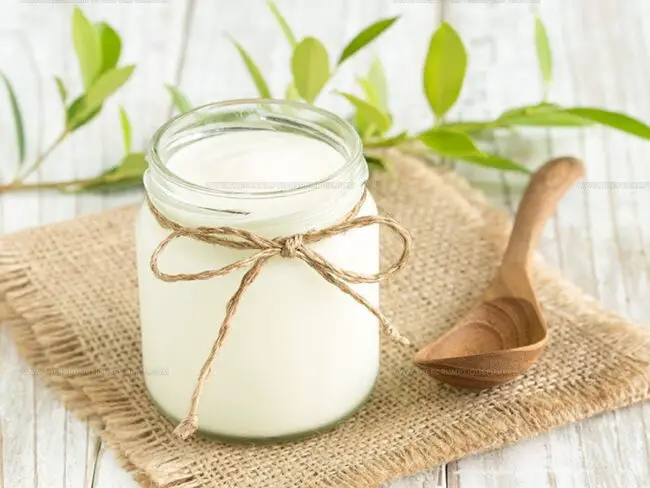 The Perfect Guide to Yogurt
