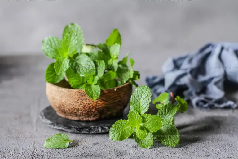 3 Mint Leaf Replacements for Fresh Herbal Notes