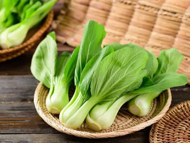 Bok Choy Health Benefits
