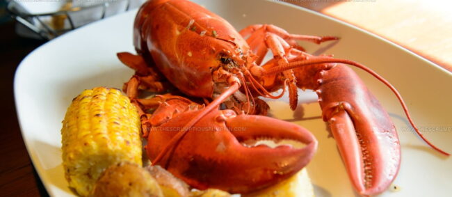 Boiled Maine Lobster