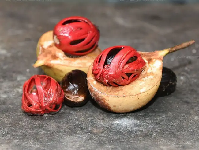 Nutmeg 101: Source, Harvest, and Global Uses