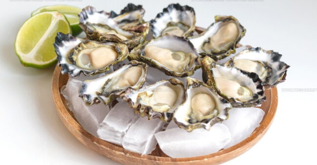 Sydney Rock Oyster