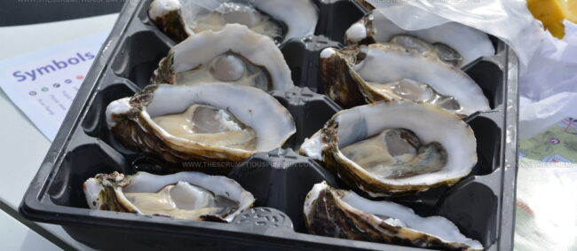 Tasmanian Oysters