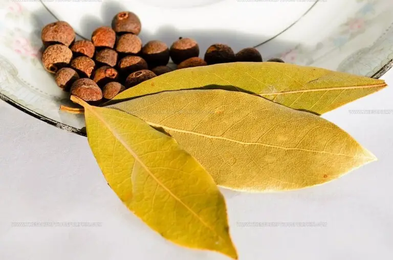 What Does Bay Leaf Taste Like? Exploring This Kitchen Hero's Kick