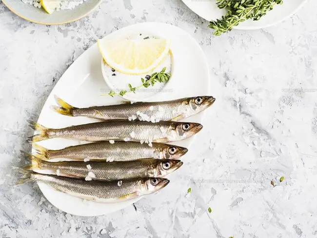 Sardines: Good for Health?