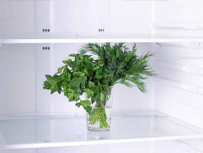 For Fresh Herbs