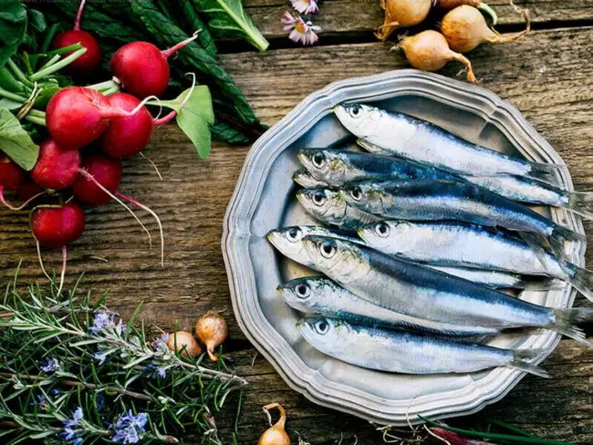 Sardine Flavor Guide